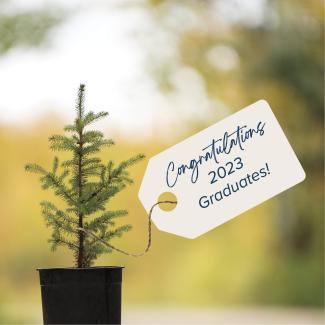 tree sapling with gift tag that reads 'Congratulations 2023 Graduates"